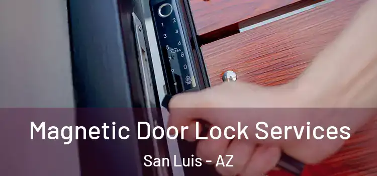 Magnetic Door Lock Services San Luis - AZ